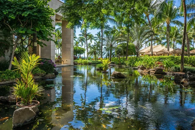 Dream Valley Resort