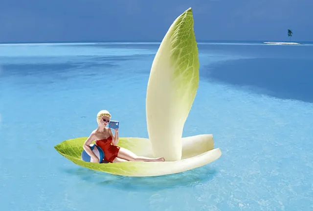 Dream Valley Resort